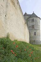 Cjp_2010_05_28_080206 (1).jpg